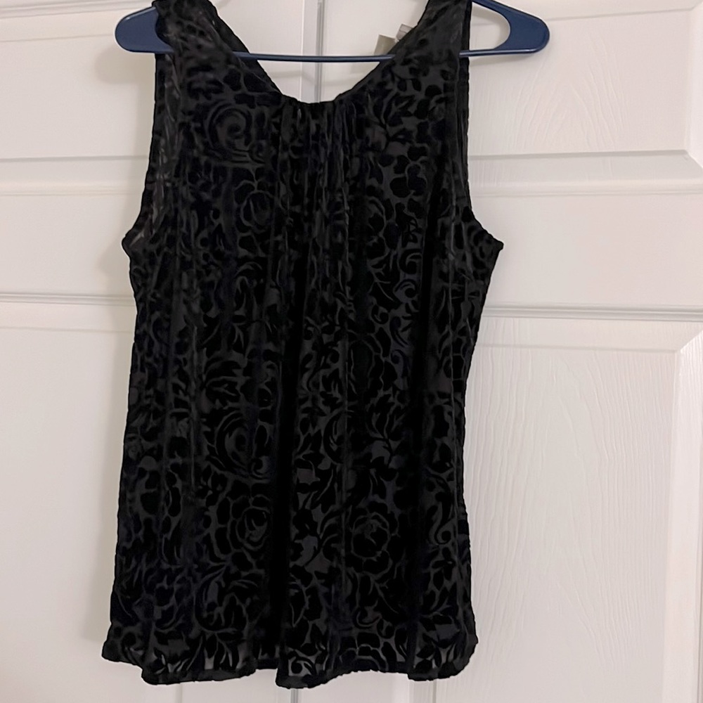 Loft Velour top NWOT